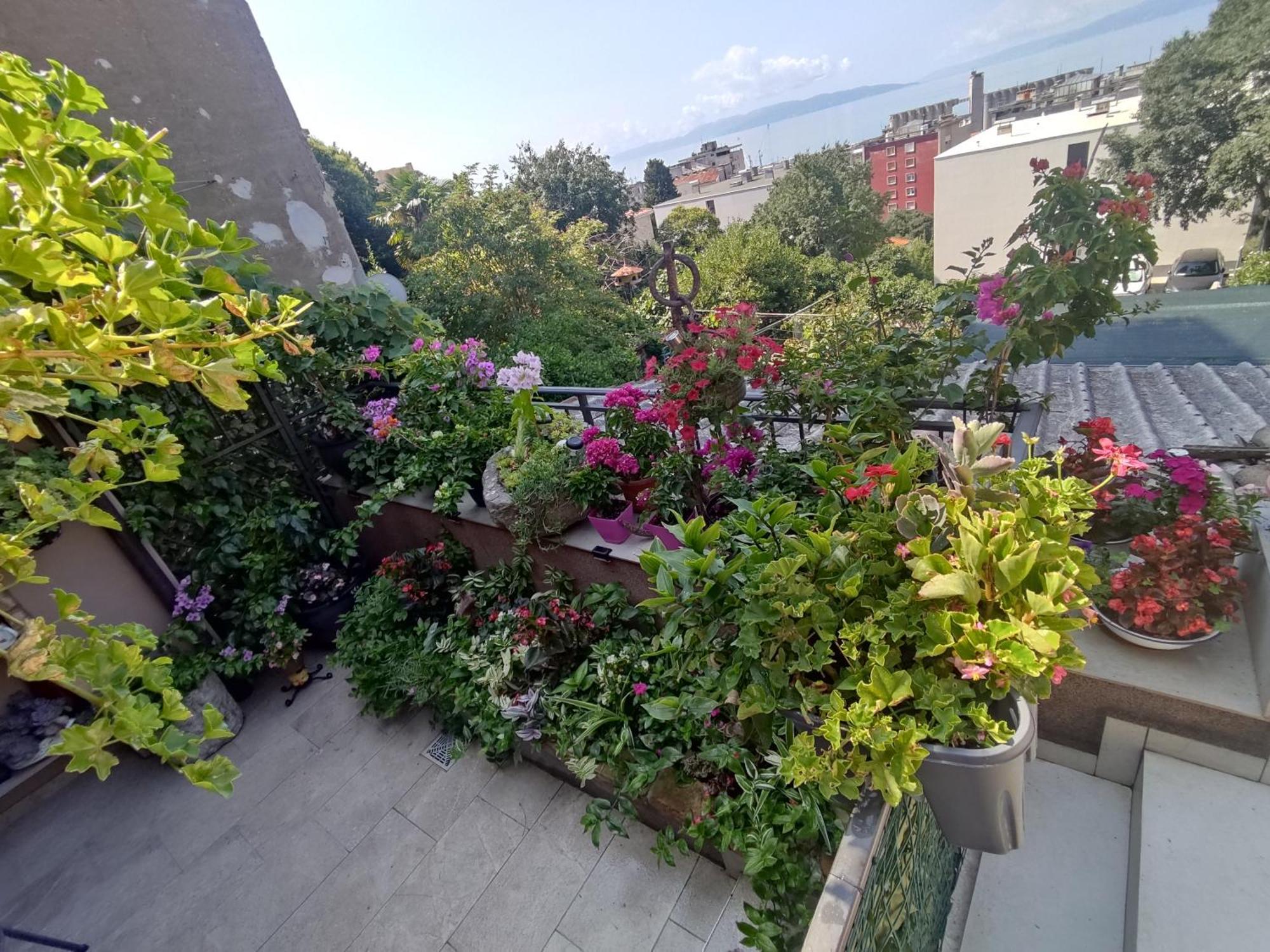 Apartmán Apartman Bella Vista Rijeka Exteriér fotografie
