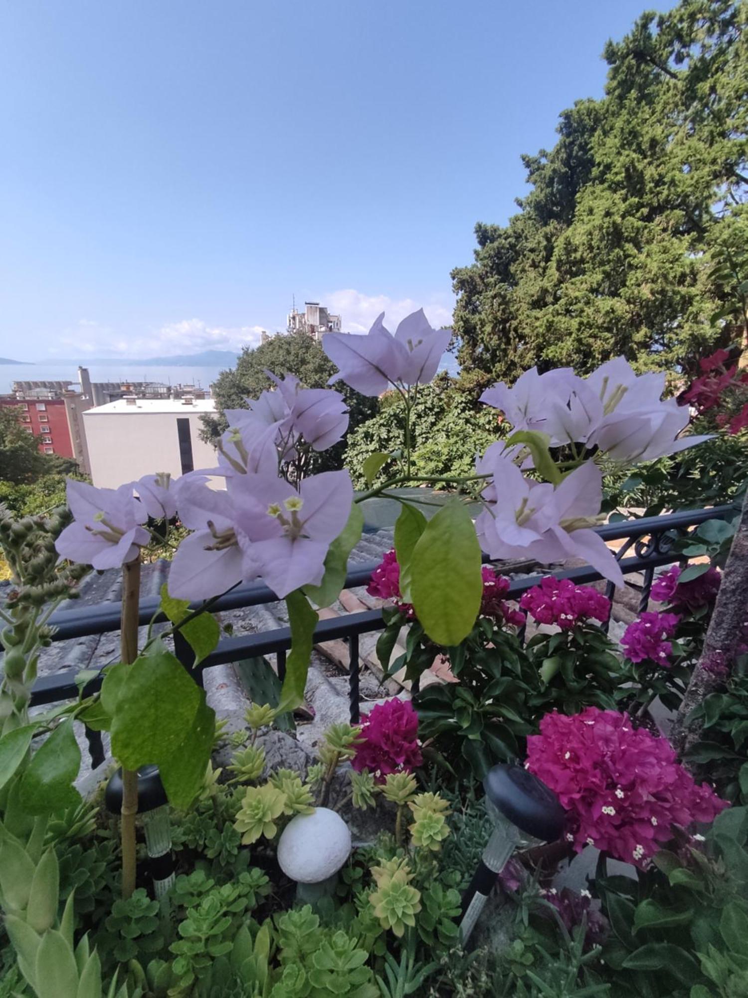 Apartmán Apartman Bella Vista Rijeka Exteriér fotografie